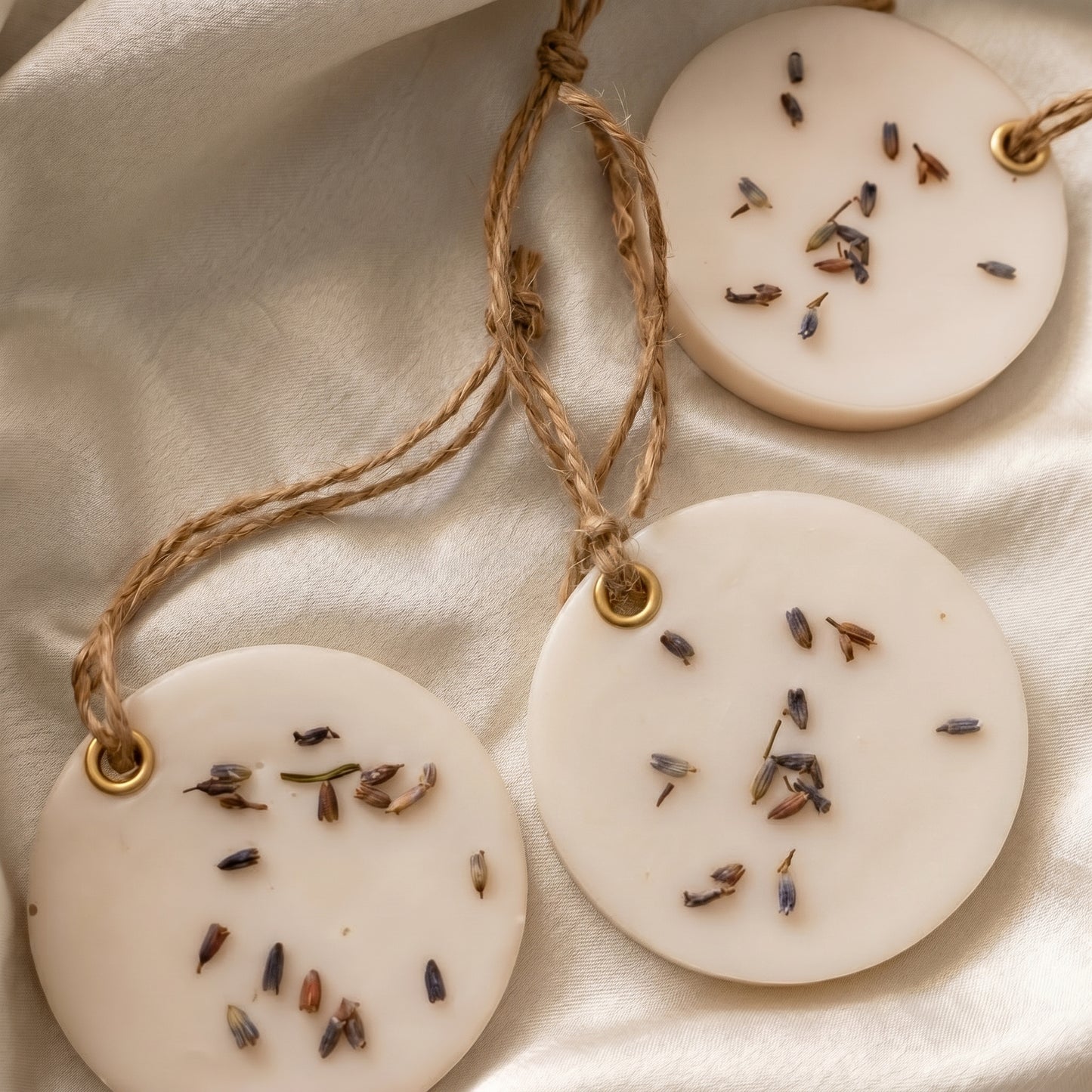Wild Lavender